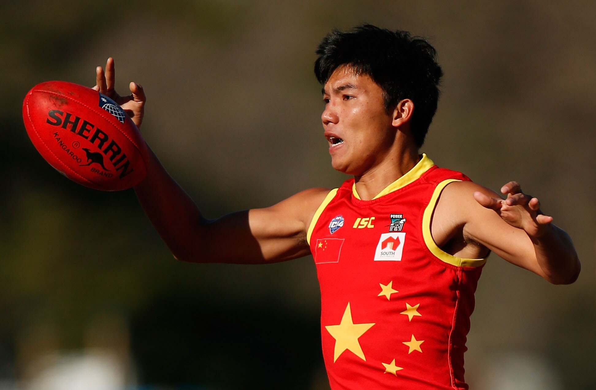 Racism wrecks AFL: Adelaide star Betts